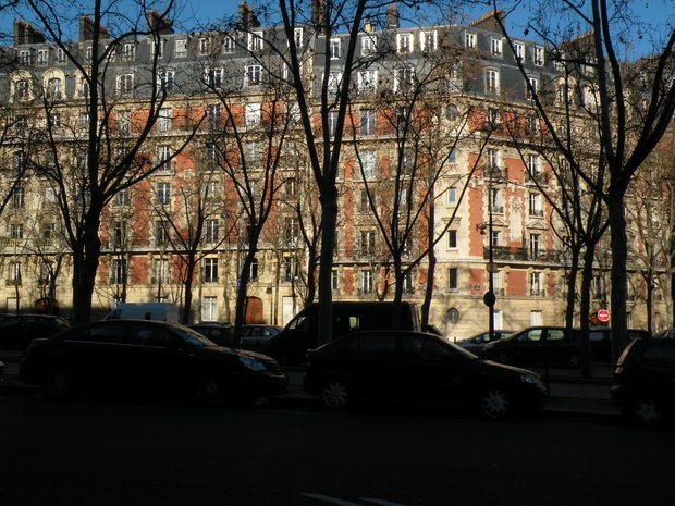  façade en briques roses à travers les arbres